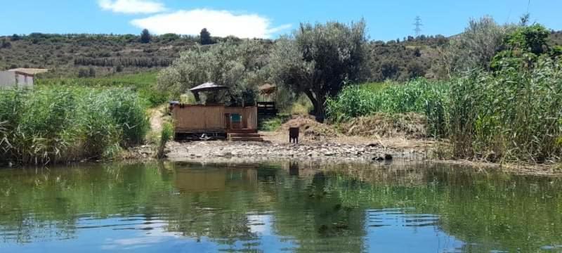 R U Ready Fishing, River Ebro Mequinenza Extérieur photo