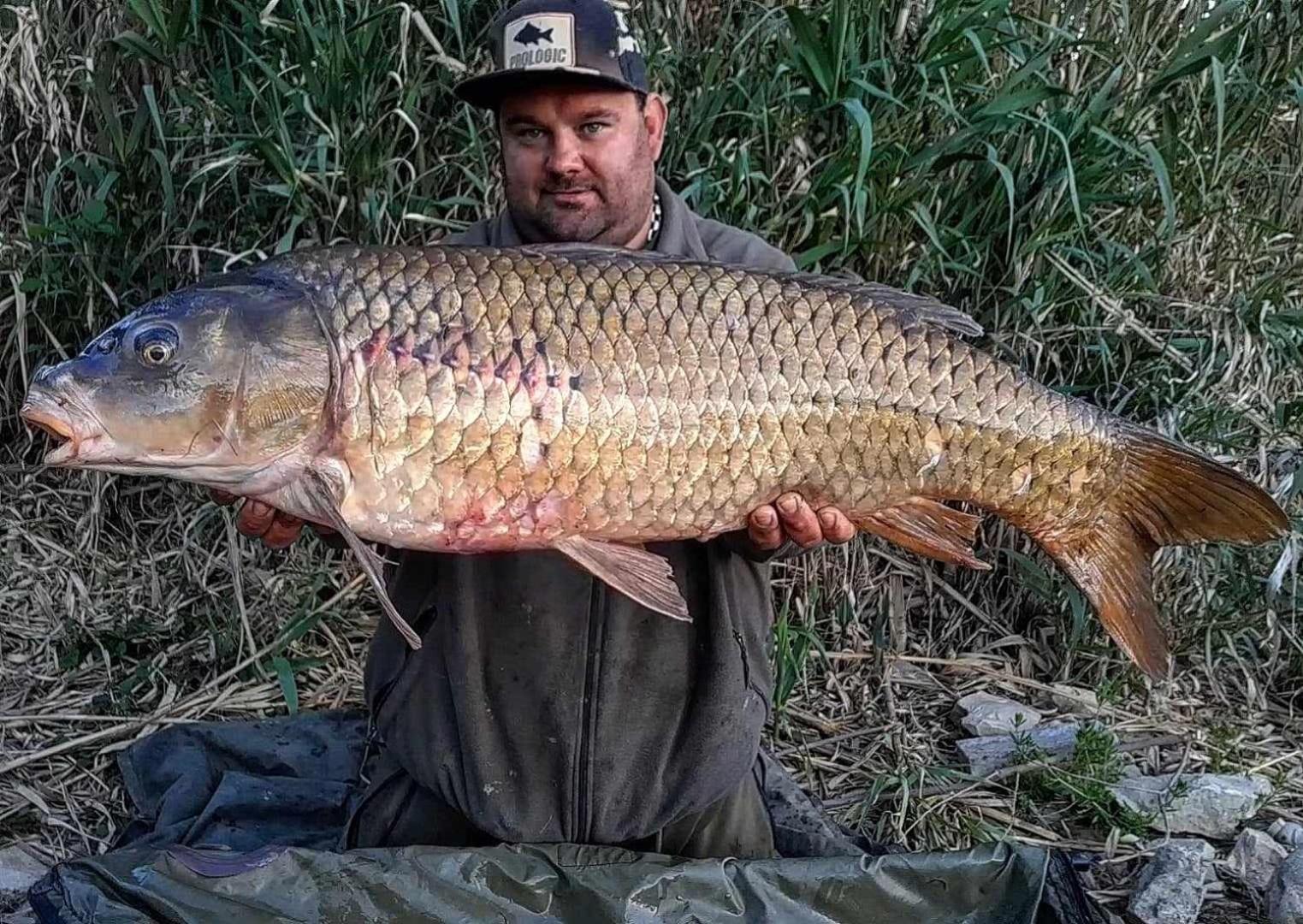 R U Ready Fishing, River Ebro Mequinenza Extérieur photo